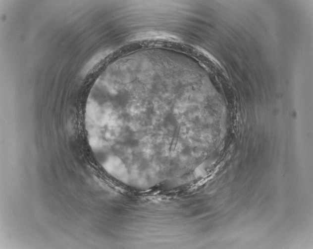 X0000075830775200609291421