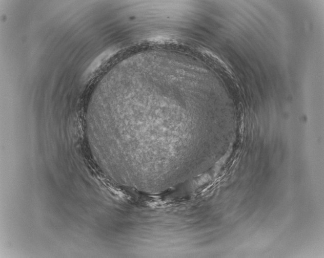 X0000075830776200609291421