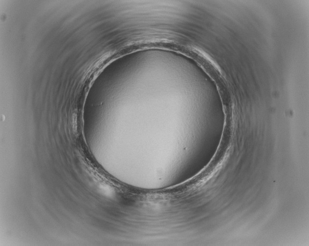 X0000075830777200609291421