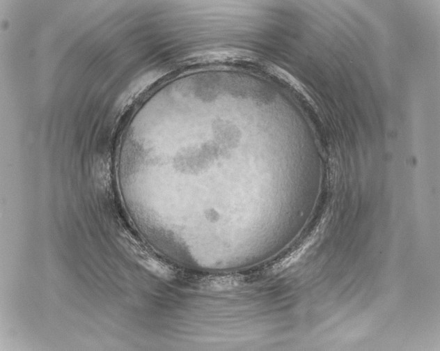 X0000075830778200609291421