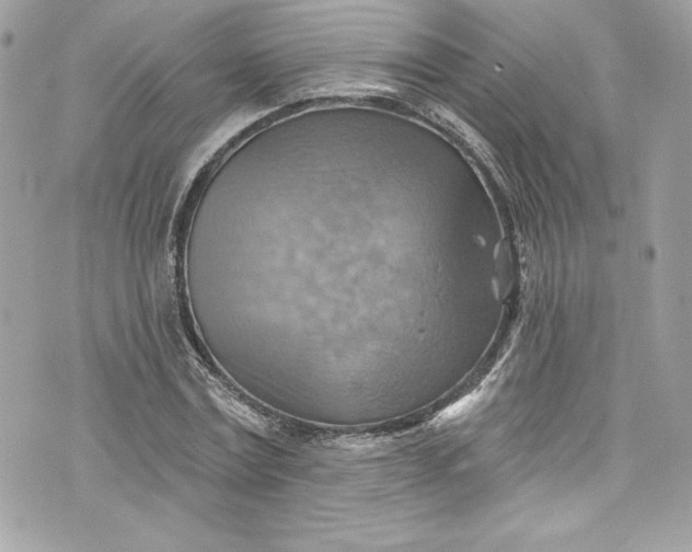 X0000075830779200609291421