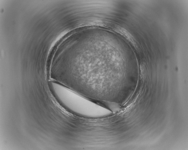 X0000075830780200609291421