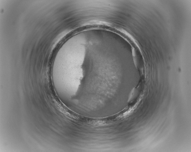 X0000075830783200609291421