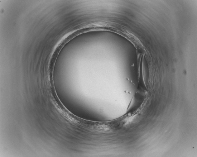 X0000075830784200609291421