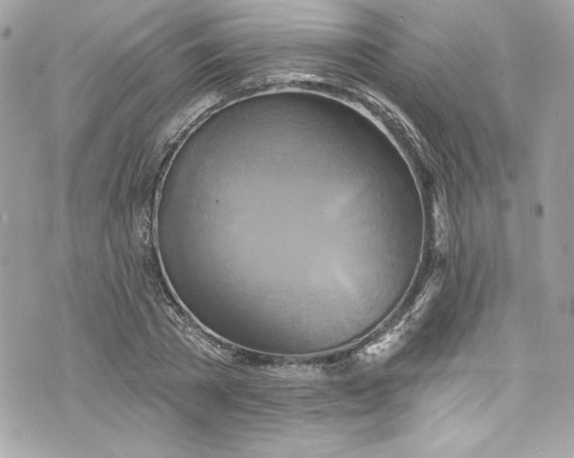 X0000075830785200609291421