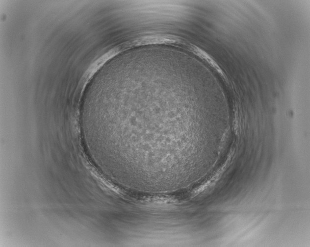 X0000075830786200609291421