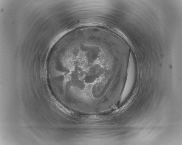 X0000075830787200609291421