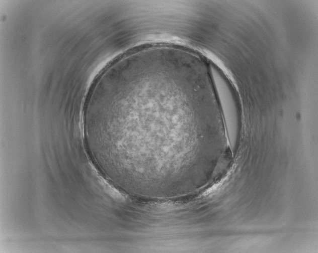 X0000075830791200609291421