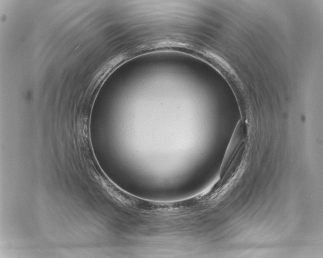 X0000075830793200609291421