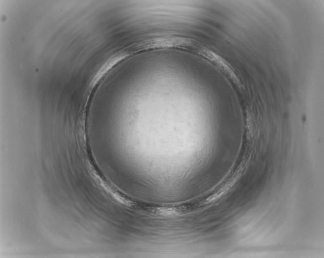 X0000075830794200609291421