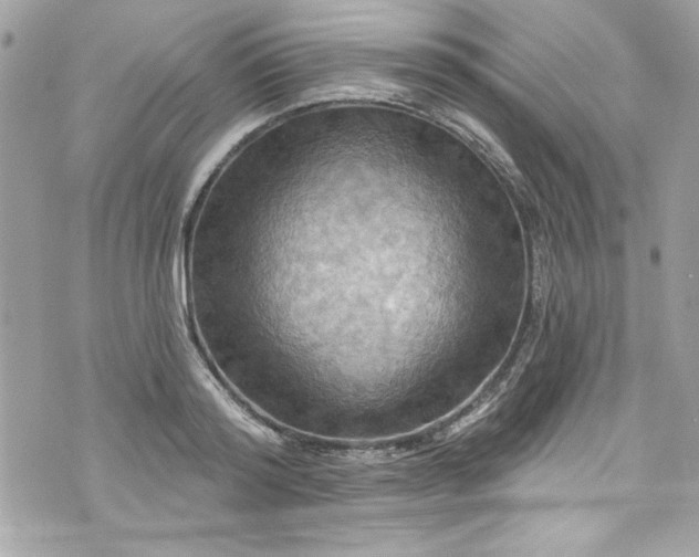 X0000075830796200609291421