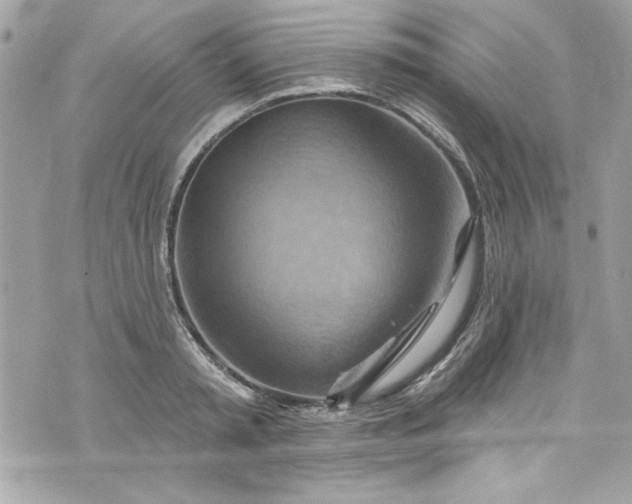 X0000075830797200609291421