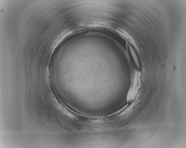 X0000075830798200609291420