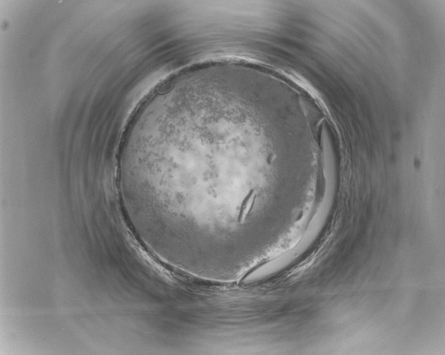 X0000075830799200609291420