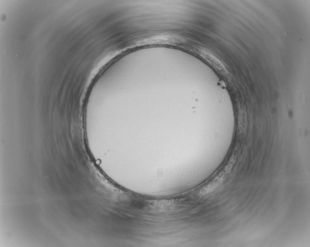 X0000075830800200609291420