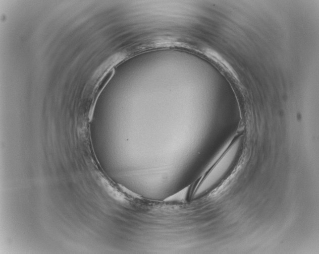 X0000075830801200609291420