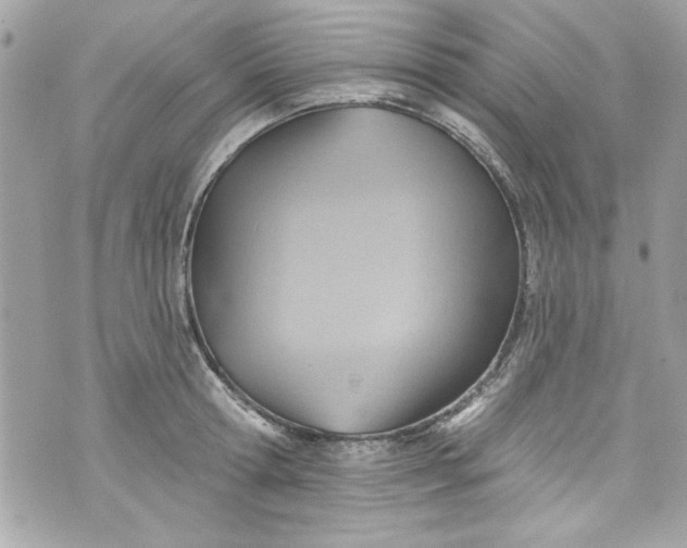 X0000075830802200609291420