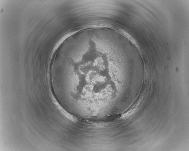 X0000075830803200609291420