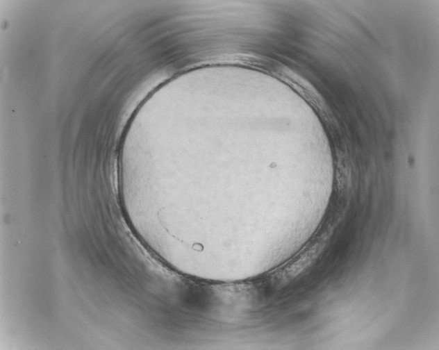 X0000075830804200609291420