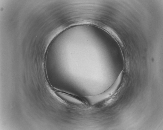 X0000075830805200609291420