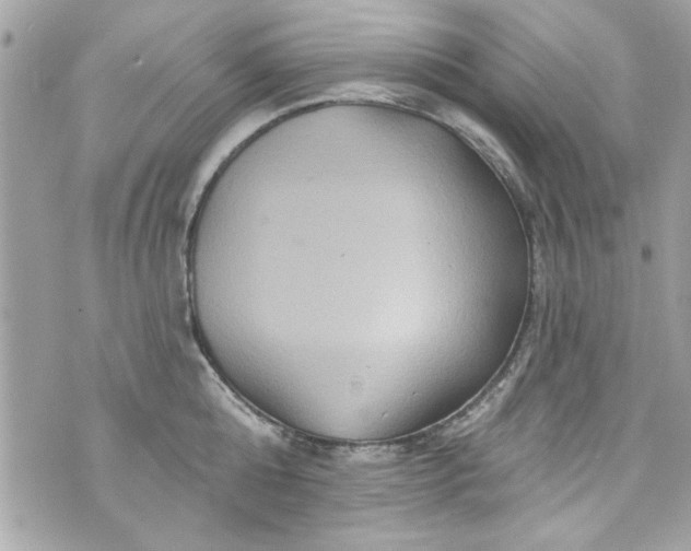 X0000075830808200609291420