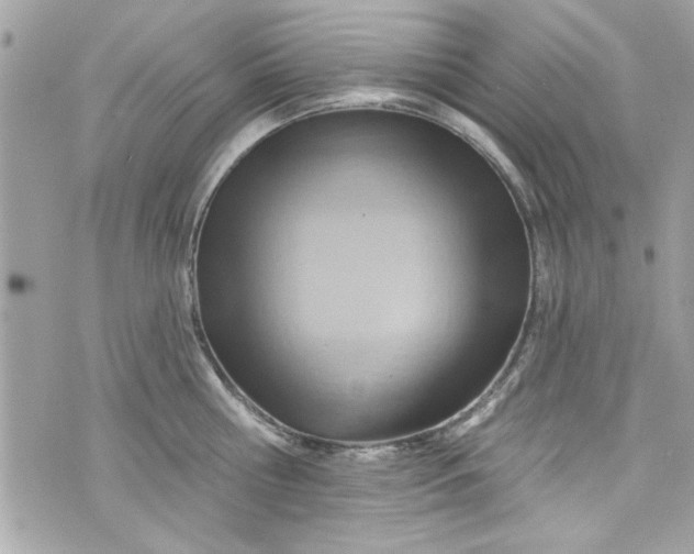 X0000075830810200609291420