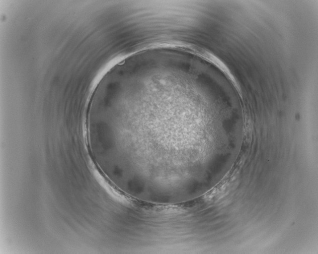 X0000075830811200609291420