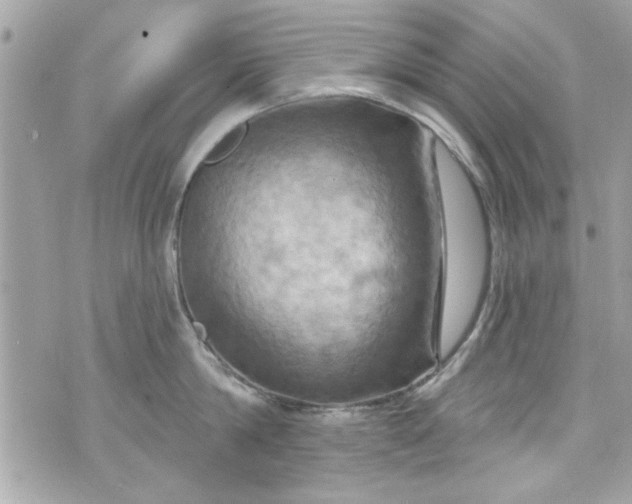 X0000075830814200609291420