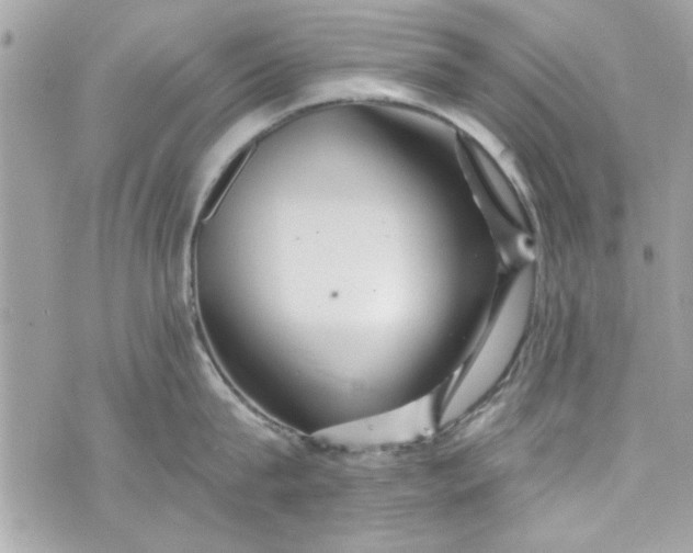 X0000075830815200609291420