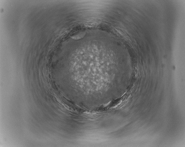 X0000075830817200609291419