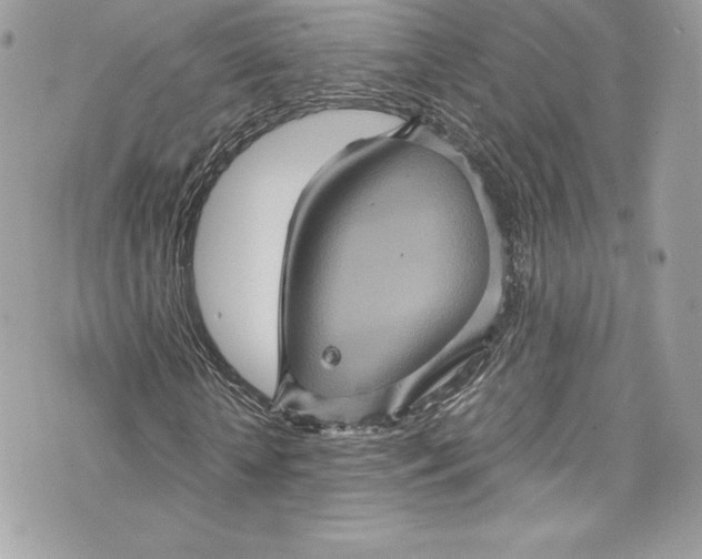 X0000075830818200609291419