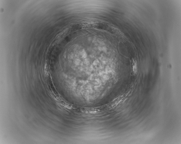 X0000075830819200609291419