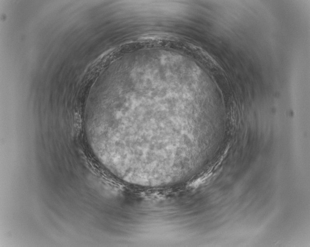 X0000075830821200609291419