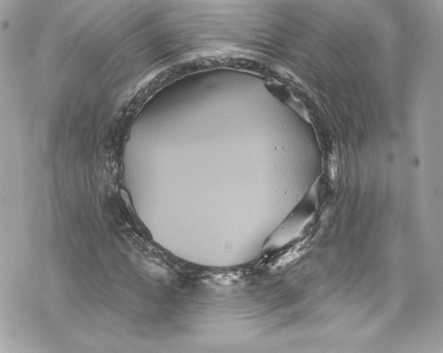 X0000075830822200609291419