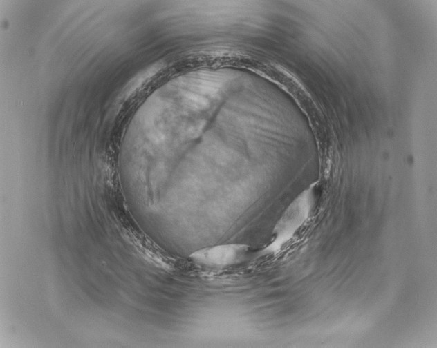 X0000075830823200609291420