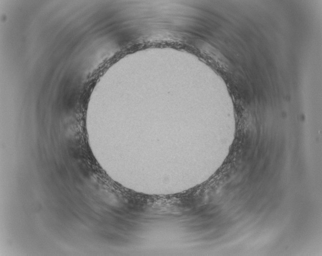 X0000075830824200609291420