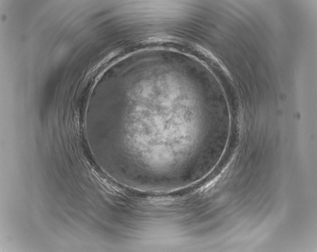 X0000075830825200609291420