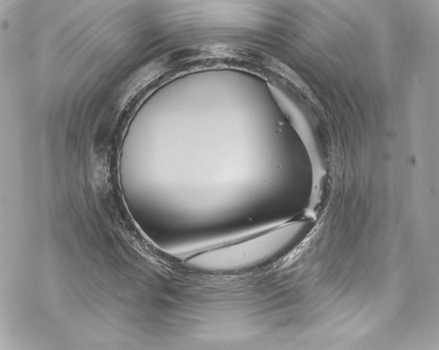 X0000075830826200609291420