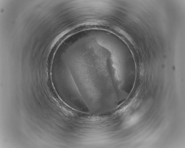 X0000075830829200609291420