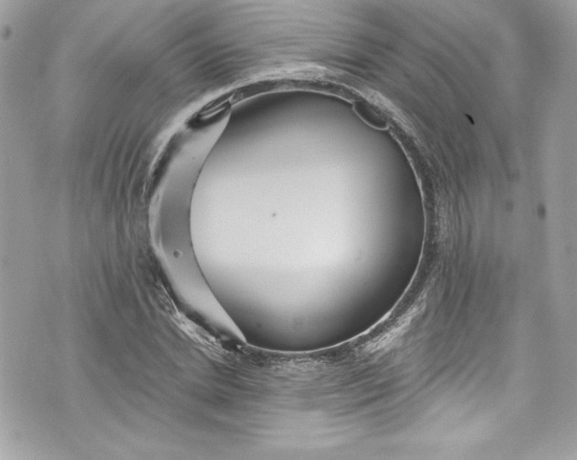 X0000075830830200609291420