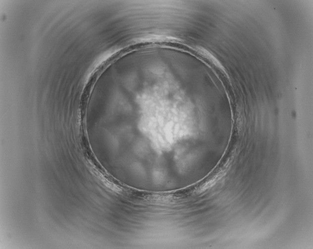 X0000075830831200609291420