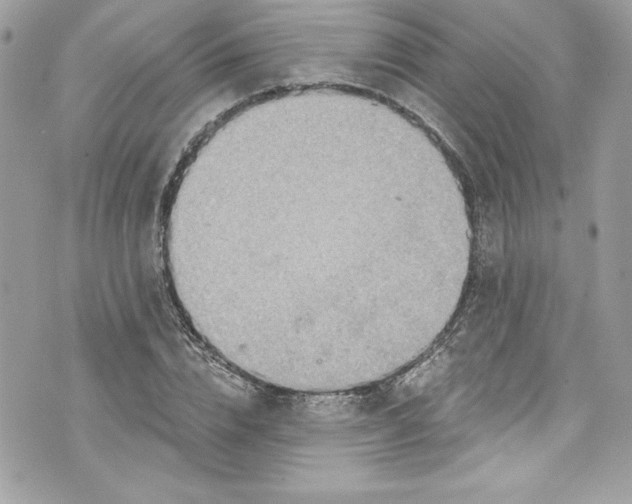 X0000075830832200609291420