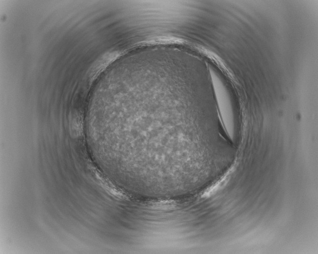 X0000075830833200609291420