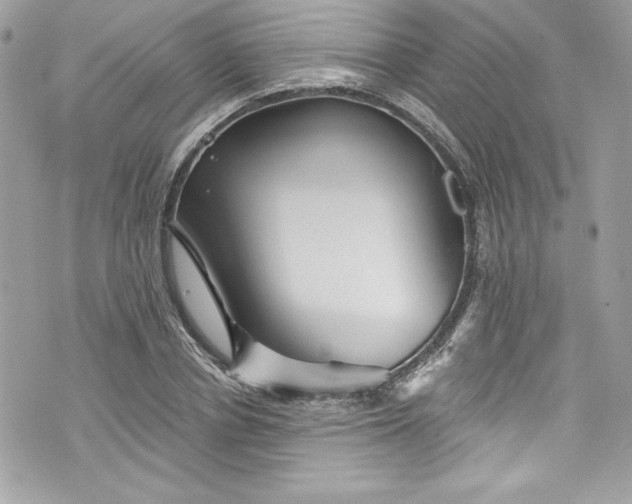 X0000075830834200609291420