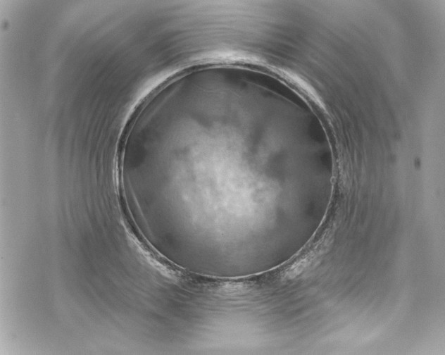 X0000075830839200609291420