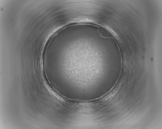 X0000075830840200609291420