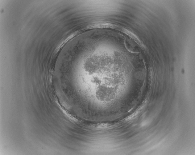 X0000075830841200609291420