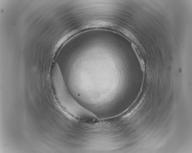 X0000075830842200609291420