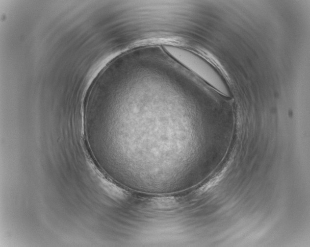 X0000075830844200609291420