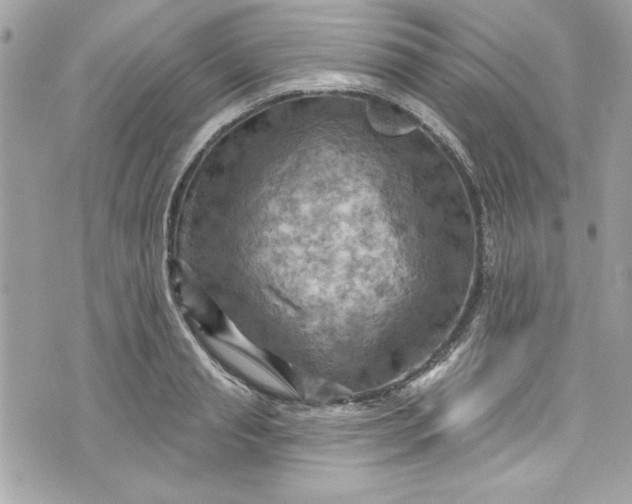 X0000075830845200609291420